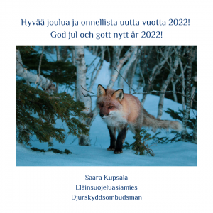 Kuvassa kettu seisoo lumisessa maisemassa ja katsoo kohti kameraa. Kuvaan on editoitu valkoiset reunat, joissa hyvän joulun ja uuden vuoden toivotus suomeksi ja ruotsiksi.