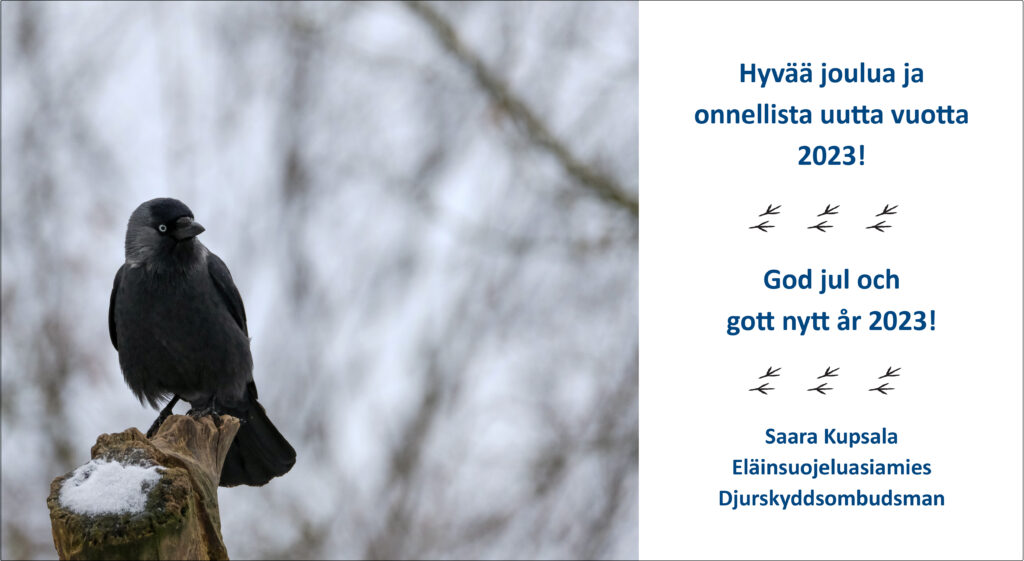 Kuvassa naakka seisoo talvisessa maisemassa puun päällä ja katsoo sivulle. Kuvassa on valkoinen alue, jossa on kuvituksena linnun jälkiä sekä joulun ja uuden vuoden toivotus suomeksi ja ruotsiksi.