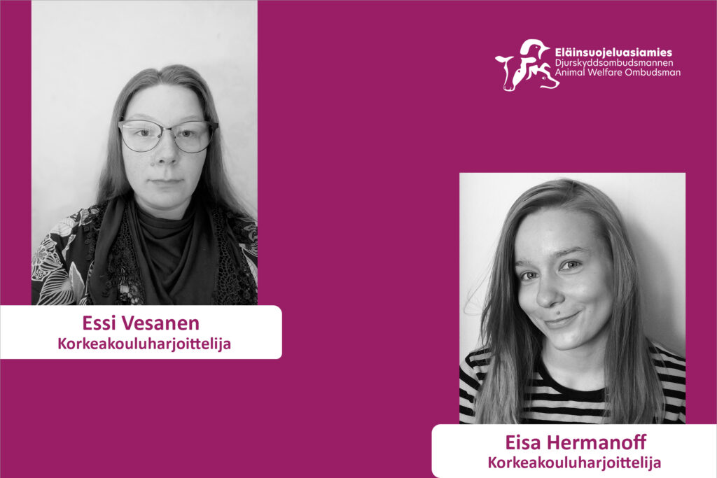 Essi Vesanen och Eisa Hermanoff.