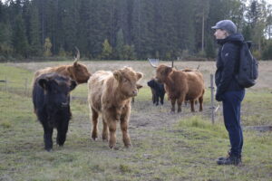 Kuvassa Eläinsuojeluasiamies Saara Kupsala seisoo hymyilevänä ylämaankarjan kanssa laitumella. Uteliaat vasikat lähestyvät ihmistä.