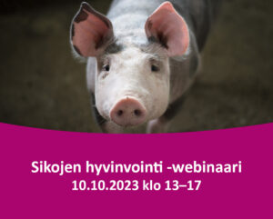 Sikawebinaarin mainoskuva