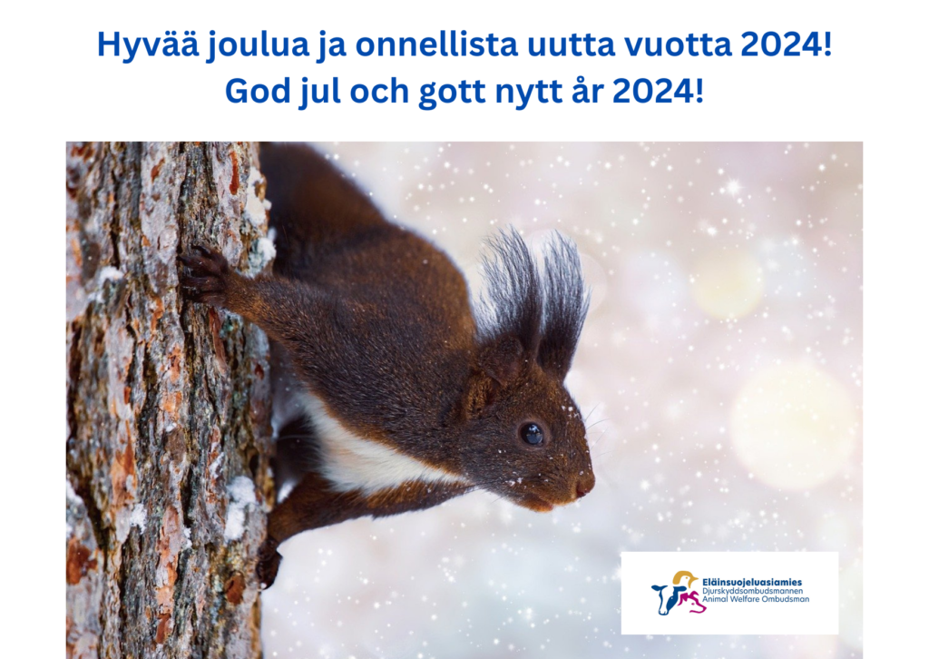 Joulutervehdys: Talvinen oravan kuva. Kuvassa teksti "Hyvää joulua ja onnellista uutta vuotta 2024! God jul och gott nytt år 2024!"